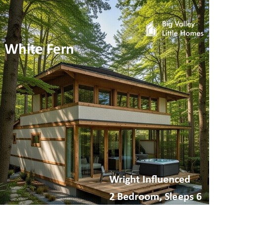fern